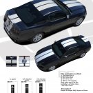 THUNDER : 2013-2014 Ford Mustang Racing and Rally Stripes Vinyl Graphics Kit