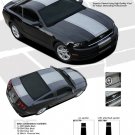 VENOM : 2013-2014 Ford Mustang Racing and Rally Stripes Vinyl Graphics Kit