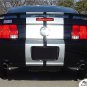 Mustang GT Racing Rally Stripes Decals - 3M Pro Vinyl Graphics 2006 213