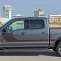 2016 2017 2018 Ford F-150 SIDELINE Special Ed Side Stripes Vinyl Graphic Decals