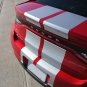 2013-2016 Dodge Dart Rally Racing Stripes Hood Vinyl Graphics Decals Striping