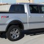 2010 F-150 FORCE TWO Screen Print Side Hockey Decals Stripes Vinyl Graphics 28A