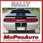 2012 CHALLENGER RALLY Racing Stripe Decal Vinyl Graphic - 3M Pro Grade 952