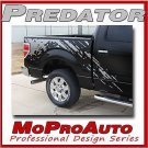 2009 RAPTOR Style Decals Stripes - 3M Pro VinylGraphics FORD F150 125