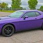 2008-2016 Challenger ROADLINE Door Body Line 3M Pro Vinyl Graphic Stripes Decals