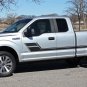 2015-2018 Ford Truck ELIMINATOR Stripes Vinyl Graphics Decals | 3M Pro PDS4777