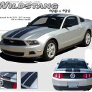 2010-2012 Ford Mustang WILDSTANG Stripe Graphic Decals Kit 3M Pro Series PDS1568