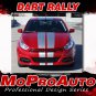 2013-2016 Dodge Dart SXT SE GT DART RALLY Racing Decals 3M Pro Stripes PD2679
