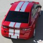 2013-2016 Dodge Dart SXT SE GT DART RALLY Racing Decals 3M Pro Stripes PD2679