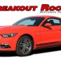 Breakout Rocker GT Lower Door Vinyl Stripe 3M Decals Graphic 2015-2017 Mustang