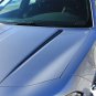 2015-2018 Dodge Charger RIVE Stripes Vinyl Graphics Decals 3M Pro Series PDS3315