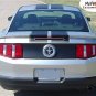 STANG Mustang Racing Stripes Decals - 3M Pro Vinyl Graphics * 2010 * 794