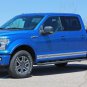 2015-2016 F-150 Lower ROCKER ONE Side Panel Solid Decals Stripes Vinyl Graphics