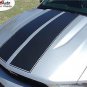 STANG Mustang - 3M Pro Vinyl Racing Stripes Decals Graphics * 2011 * 479