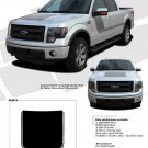 Ford 2013 F-150 FORCE Hood Solid Color Decals Stripes / 3M Vinyl Graphics - J22
