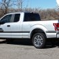 ELIMINATOR Side Door Hockey Stripe Vinyl Graphic Decal 2016 2017 2018 Ford F-150