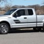 ELIMINATOR Side Door Hockey Stripe Vinyl Graphic Decal 2016 2017 2018 Ford F-150