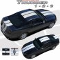 THUNDER 2013 Racing Rally Stripes Decals Graphics Pro 3M Vinyl RE Ford Mustang