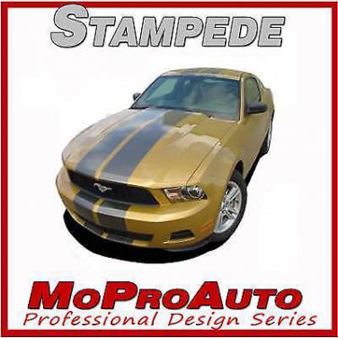 Ford MUSTANG Rally - 3M Pro Vinyl Racing Stripes Decals Graphics 2010 895