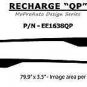 2013 RECHARGE QP Dodge Charger Side Stripes Decals Graphics - 3M Pro 208 Vinyl