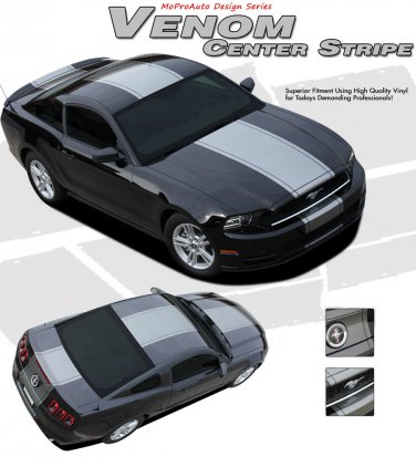 Wide Center Snake Racing Stripe 3M Graphic Decal 2013-2014 Ford Mustang GT V6