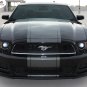 Wide Center Snake Racing Stripe 3M Graphic Decal 2013-2014 Ford Mustang GT V6