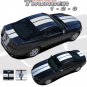 Complete 10" Rally Racing 3M Pro Vinyl Stripes Decals Graphic 2013-2014 Mustang