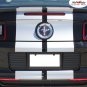 Complete 10" Rally Racing 3M Pro Vinyl Stripes Decals Graphic 2013-2014 Mustang
