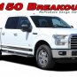 BREAKOUT ROCKER 2015-2018 Ford F-150 Lower Door Vinyl Stripe 3M Decals Graphics