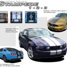 Hood Roof Spoiler Bumper 10" Rally Racing Stripe Decal Graphic 2010-2012 Mustang