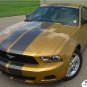 Hood Roof Spoiler Bumper 10" Rally Racing Stripe Decal Graphic 2010-2012 Mustang