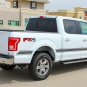 2015-2018 Ford F-150 Pickup FORCE 2 SOLID Stripe Vinyl Graphics | 3M Pro Decals
