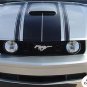 2005-2009 Ford Mustang GT V6 FASTBACK 2 Stripe Graphic Decals 3M Series PD1459