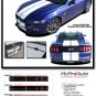 2015-2017 Ford Mustang GT V6 STALLION Rally Racing Stripes 3M Pro Graphic PD3218