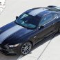 2015-2017 Ford Mustang GT CONTENDER Center Racing Stripes Decals 3M Pro PDS4534