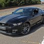 2015-2017 Ford Mustang GT CONTENDER Center Racing Stripes Decals 3M Pro PDS4534