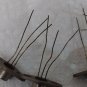 RCA 2N4063 Power Transistor flange mount lot of 4 E1