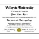 Diploma for Honda VALKYRIE motorcycle owner