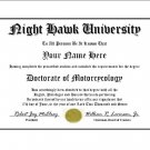 Diploma for Honda NIGHT HAWK motorcycle owner