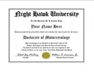 Diploma for Honda NIGHT HAWK motorcycle owner