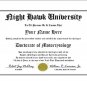 Diploma for Honda NIGHT HAWK motorcycle owner