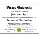 Diploma for Yamaha VIRAGO motorcycle owner