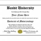 Diploma for Suzuki BANDIT motorcycle owner