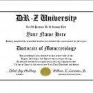 Diploma for Suzuki DR-Z motorcycle owner