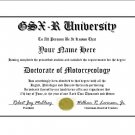 Diploma for Suzuki GSX-R motorcycle owner