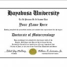 Diploma for Suzuki HAYABUSA motorcycle owner