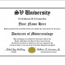 Diploma for Suzuki SV motorcycle owner
