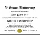 Diploma for Suzuki V STROM motorcycle owner