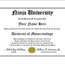 Diploma for Kawasaki NINJA motorcycle owner