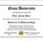 Diploma for Kawasaki NINJA motorcycle owner